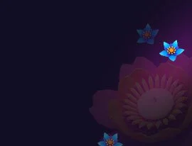 Best Casino Bonuses