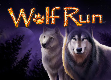 Free Online Slot Games Wolf Run